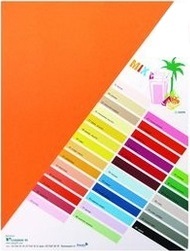 Цветна копирна хартия A4 Rainbow, 80 гр., 100 листа