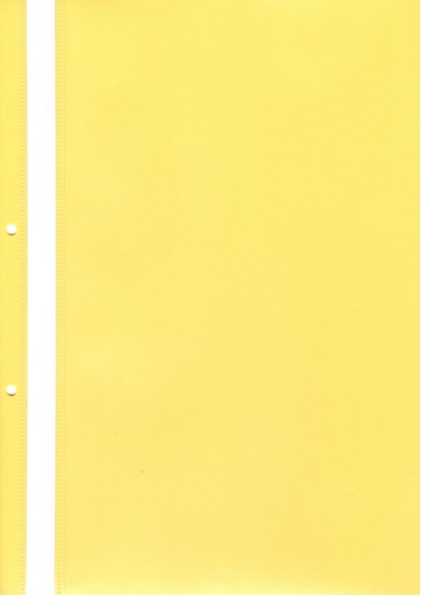 Папка PVC с прозрачно лице A4, с перфорация, бр. - Image 9