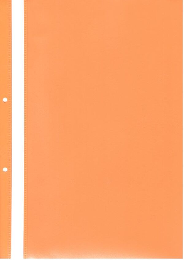 Папка PVC с прозрачно лице A4, с перфорация, бр. - Image 4